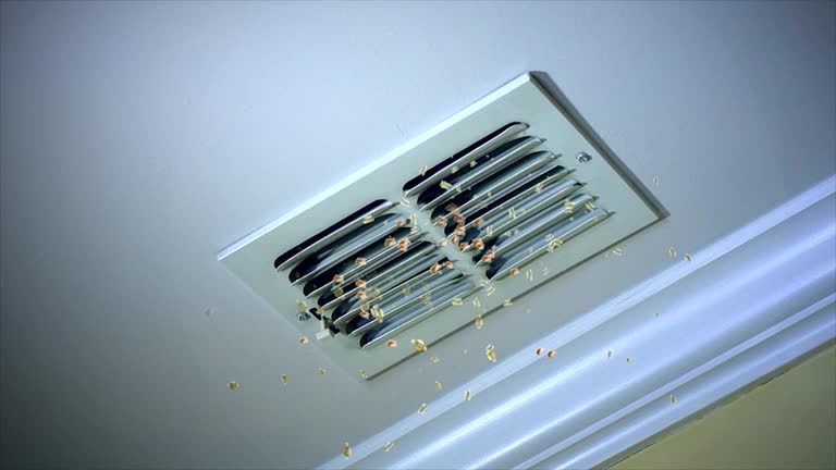 Best Home Air Vent Cleaning  in Park City, MT