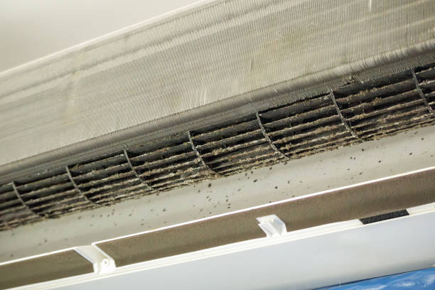 Best HVAC Air Duct Cleaning  in Park City, MT
